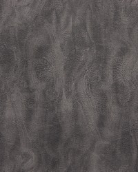 Santiago Shadow by  Gum Tree 