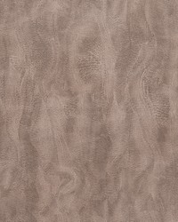 Santiago Stucco by  Gum Tree 