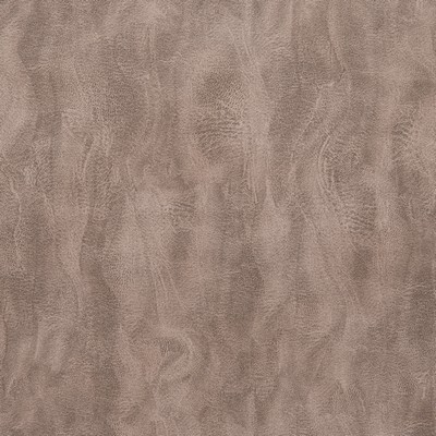 Gum Tree Santiago Stucco in new2021 Polyester  Blend Fire Rated Fabric