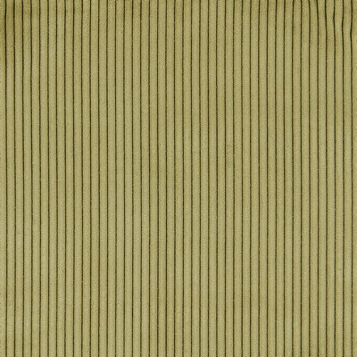 Gum Tree Swift Fern in new2021 Green Polyester  Blend Fire Rated Fabric Solid Color Corduroy  Striped   Fabric