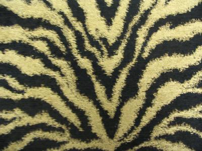 Gum Tree Tigre Gold in Hanging Samples 2009 Upholstery Rayon  Blend Animal Print  Patterned Chenille   Fabric