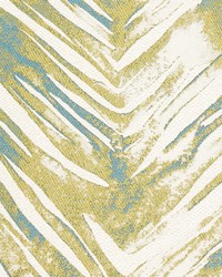 Xander Citron by  Gum Tree 