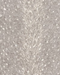 Yearling Fog by  Gum Tree 