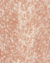 Yearling Shell by  Gum Tree 