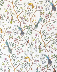 Birdsong Multi by   