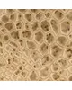 Hamilton Fabric Cabot Sand