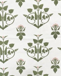 Sheffield Primrose by   