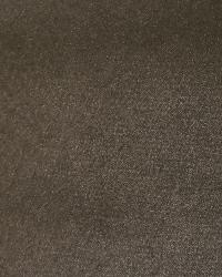 Passion Suede Espresso by  Infinity Fabrics 