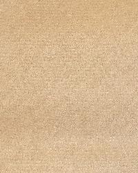 Passion Suede Parchment by  Infinity Fabrics 