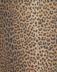 Cheetah Earth by   
