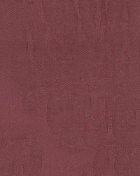 Adorn Eggplant by  Kasmir 