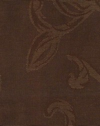 Agatha Cocoa by  Kasmir 