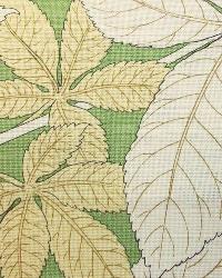 Autumn Leaves Linden by   