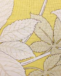 Autumn Leaves Yellow by   