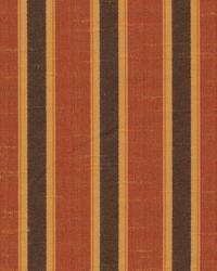 Barrister Stripe Spice by   