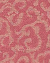 Belfast Ballerina by   