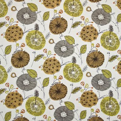 Kasmir Bisset Papyrus in Great Expectations Volume 1 Green Drapery-Upholstery Cotton Fire Rated Fabric Line Drawn Flower   Fabric