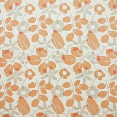 Kasmir Blansette Garden Tangerine in Great Expectations Volume 2 Brown Drapery-Upholstery Linen Fire Rated Fabric Line Drawn Flower   Fabric