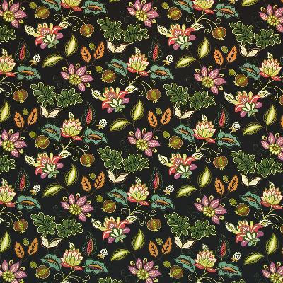 Kasmir Bluffview Park Amazon in Great Expectations Volume 1 Black Drapery-Upholstery Cotton Fire Rated Fabric Line Drawn Flower   Fabric