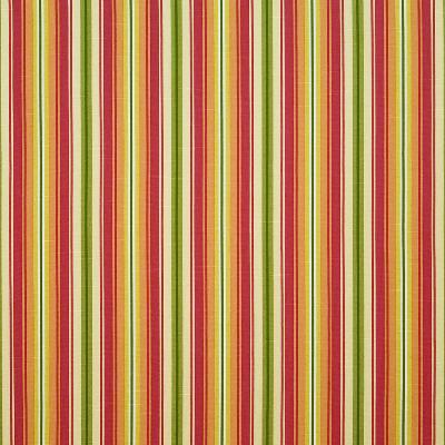 Kasmir Bluffview Stripe Chili in Great Expectations Volume 2 Multi Drapery-Upholstery Cotton Fire Rated Fabric Wide Striped   Fabric