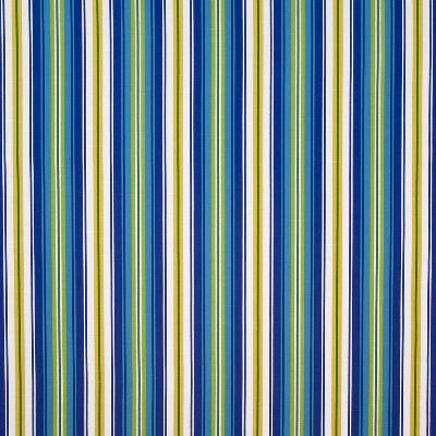 Kasmir Bluffview Stripe Summer in Great Expectations Volume 3 Blue Drapery-Upholstery Cotton Fire Rated Fabric Wide Striped   Fabric