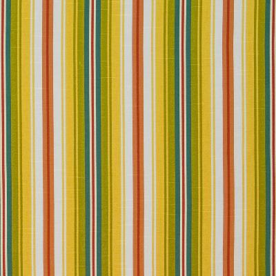 Kasmir Bluffview Stripe Sunshine in Great Expectations Volume 1 Multi Drapery-Upholstery Cotton Fire Rated Fabric Wide Striped   Fabric