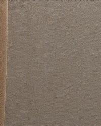 Breeze Tan by  Kasmir 