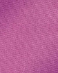 Calliope Muscat by  Kasmir 