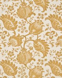 Camden Garden Golden Glow by   