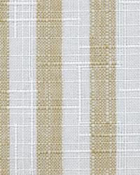 Cape Cod Stripe Cucumber by   