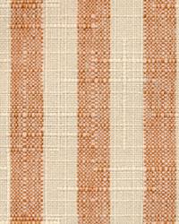 Cape Cod Stripe Sienna by   