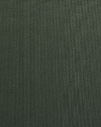 Carlsbad Olive by  Kasmir 