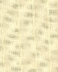 Cathcart Putty by  Kasmir 