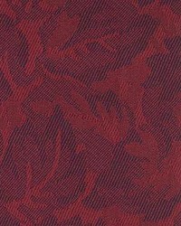 Cb 1175 Boysenberry by   