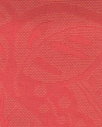 Cb 1255 Coral by  Kasmir 