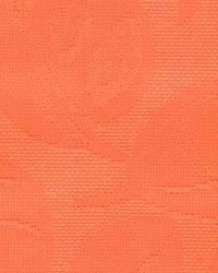 Cb 1255 Papaya by  Kasmir 