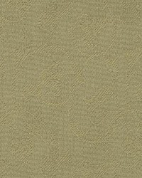 Cb 1365 Leaf by  Kasmir 