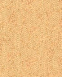 Cb 1365 Sesame by  Kasmir 