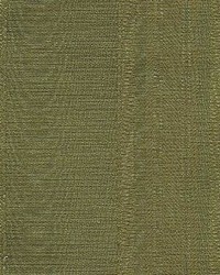 Cb 4065 Emerald by  Kasmir 