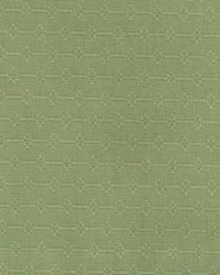 Cb 635 Grass by  Kasmir 