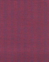 Cb 645 Radicchio by  Kasmir 