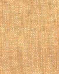 Cb 815 Melon by  Kasmir 