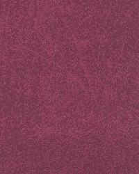 Cb 845 Huckleberry by  Kasmir 