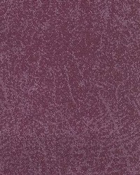 Cb 845 Violet by  Kasmir 