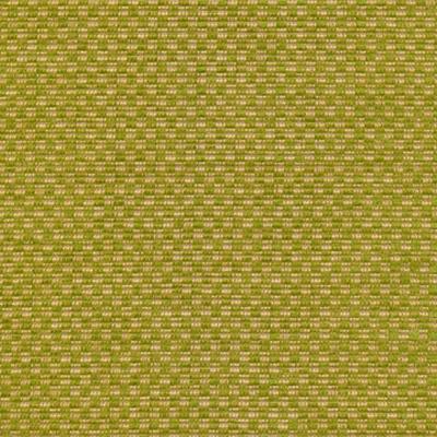 Kasmir Checkered Out IO Frond in Tommy Bahama Home Green Upholstery Acrylic Fire Rated Fabric Small Check  Check  Stripes and Plaids Outdoor   Fabric