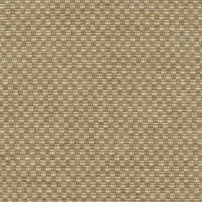 Kasmir Checkered Out IO Sisal in Tommy Bahama Home Brown Upholstery Acrylic Fire Rated Fabric Small Check  Check  Stripes and Plaids Outdoor   Fabric