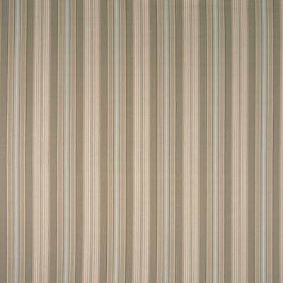 Kasmir Cheverny Stripe Pearl in Fresh Perspectives, Volume 1 Beige Multipurpose Cotton Fire Rated Fabric Wide Striped   Fabric