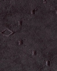 Cimarron Black by  Kasmir 