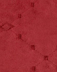 Cimarron Ruby by  Kasmir 