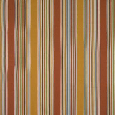 Kasmir Clambake Stripe Shell in Fresh Perspectives, Volume 1 Orange Multipurpose Cotton Fire Rated Fabric Wide Striped   Fabric